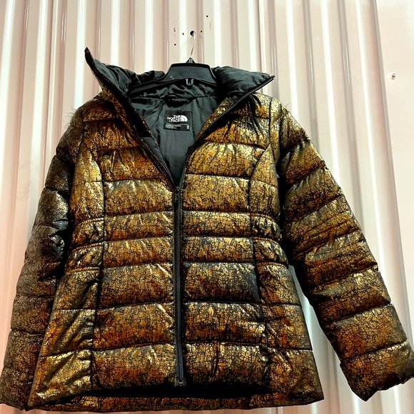 The North Face Metallic Puffer Jacket 